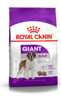 GIANT-Adult.png GIANT-Adult.png