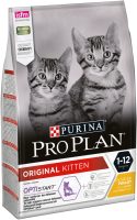 KITTEN-2.jpg KITTEN-2.jpg
