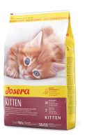 KITTEN.jpg KITTEN.jpg