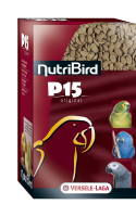 P15 ori 1 P15 ori 1