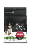PUPPY-MEDIUM-1.jpg PUPPY-MEDIUM-1.jpg