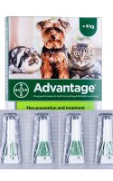 advantage_4x0_4ml_for_dogs_under_4kg-2 advantage_4x0_4ml_for_dogs_under_4kg-2