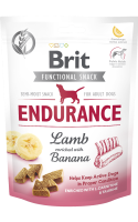 endurance endurance