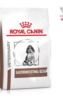 gastro-puppy-1.png gastro-puppy-1.png
