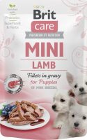 mini lamb puppy mini lamb puppy