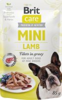mini lamb mini lamb