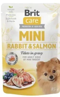 mini rabbit_salmon mini rabbit_salmon