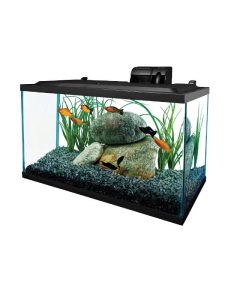 pet-product-more-pets-fish-8-0.jpg pet-product-more-pets-fish-8-0.jpg