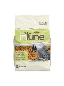 pet-product-more-pets-parrots-4-0.jpg pet-product-more-pets-parrots-4-0.jpg