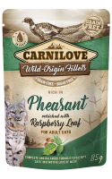pheasnt.png pheasnt.png