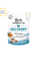 recovery-2.png recovery-2.png