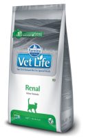 renal cat renal cat