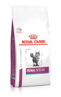 renal-special-3.png renal-special-3.png