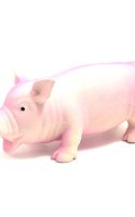 rosewood-jolly-doggy-grunters-latex-pig-large-dog-toy.jpg rosewood-jolly-doggy-grunters-latex-pig-large-dog-toy.jpg