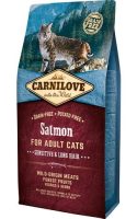 salmon-1.jpg salmon-1.jpg