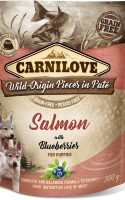 salmon salmon