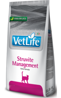 struvite managment struvite managment